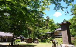 新緑の土津神社境内