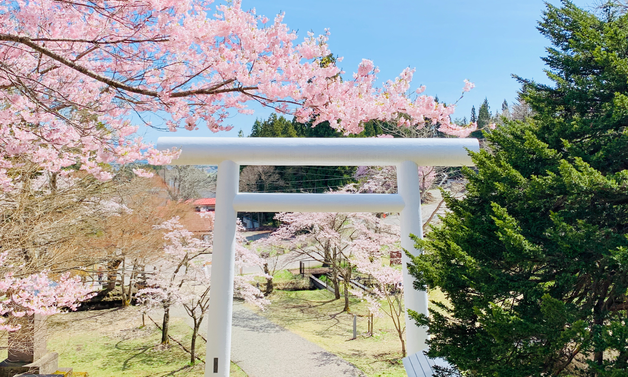 土津神社-こどもと出世の神さま-