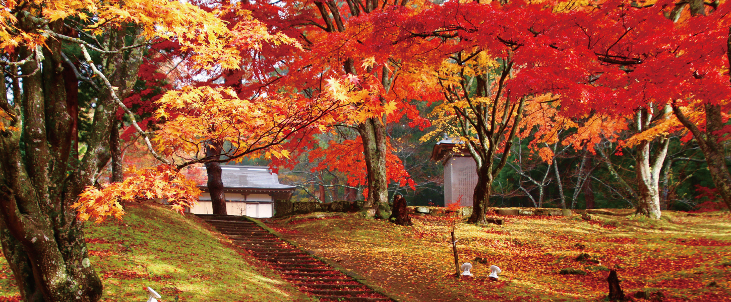 境内のご案内 土津神社