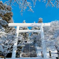 深雪の土津神社白大鳥居