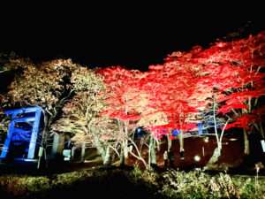 土津神社紅葉ライトアップ