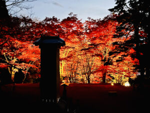 土津神社紅葉ライトアップ