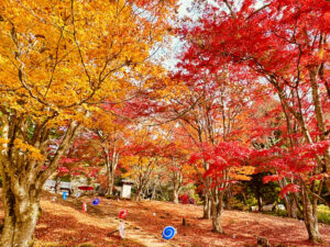 土津神社の紅葉